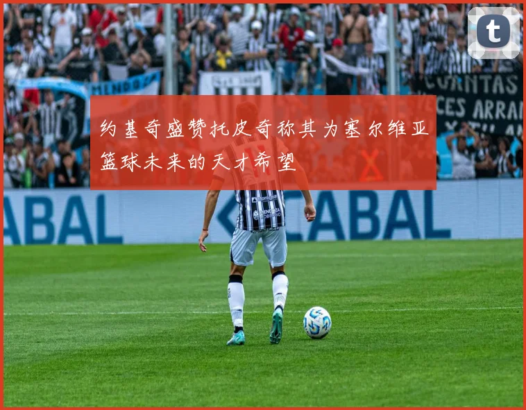 约基奇盛赞托皮奇称其为塞尔维亚篮球未来的天才希望